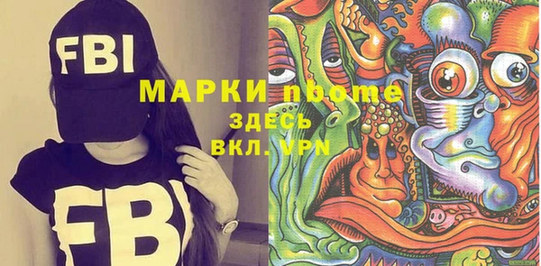 индика Богородицк