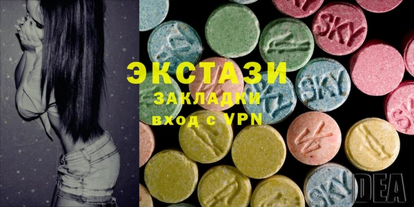индика Богородицк