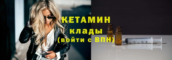 индика Богородицк