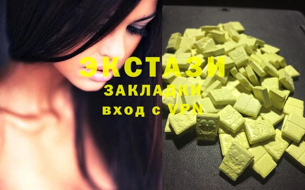 индика Богородицк