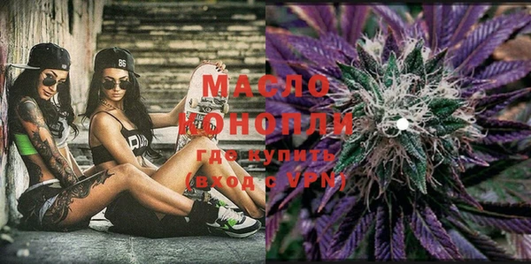 индика Богородицк