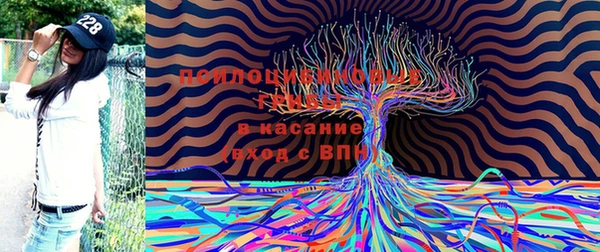 марихуана Богданович