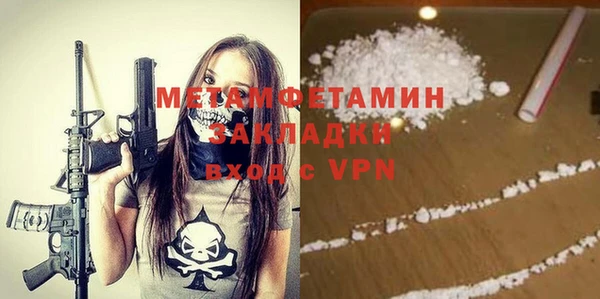 индика Богородицк