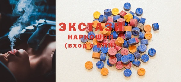 индика Богородицк