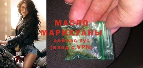 индика Богородицк