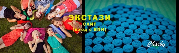 индика Богородицк