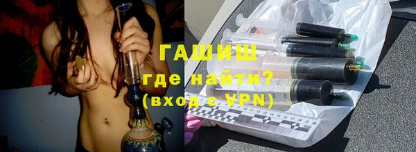 индика Богородицк