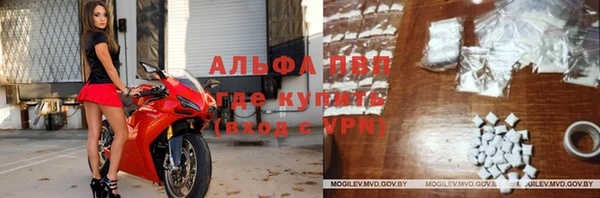индика Богородицк